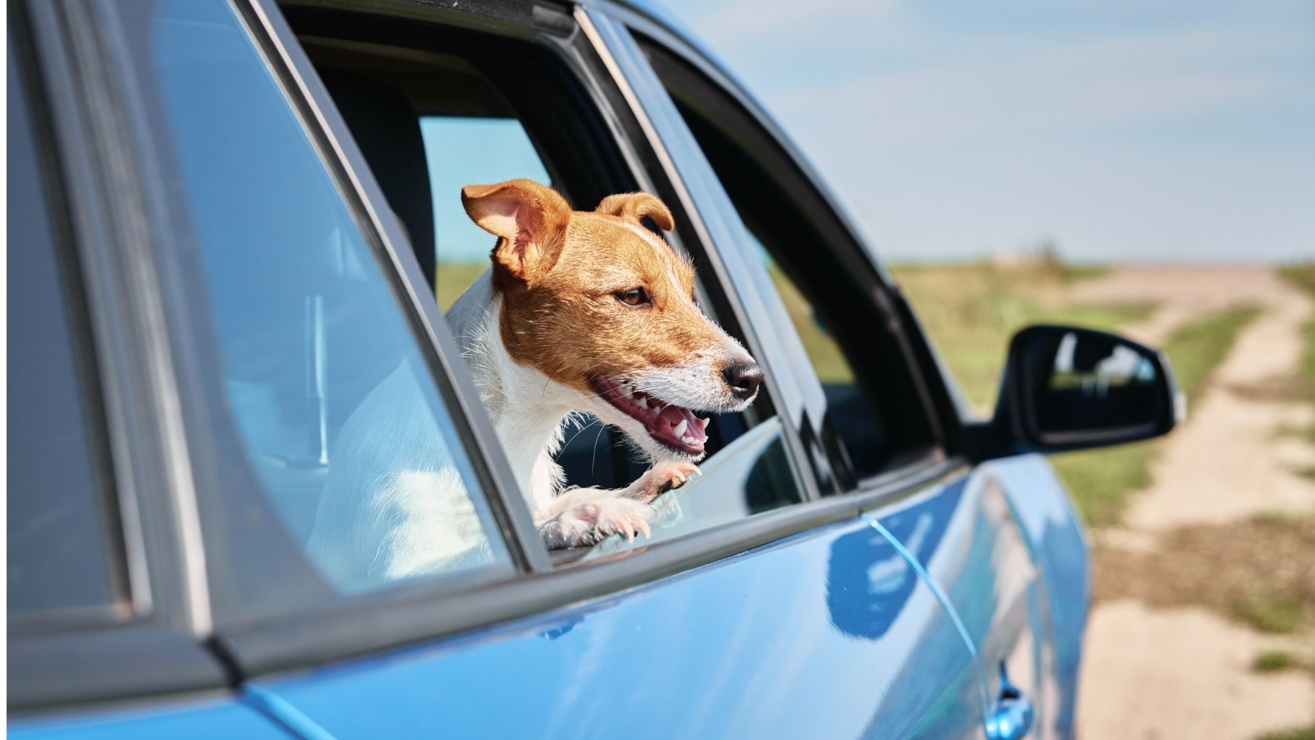 Buying a Vehicle in 2026: What to Know Before You Hit the Lot