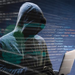 Scam Surge