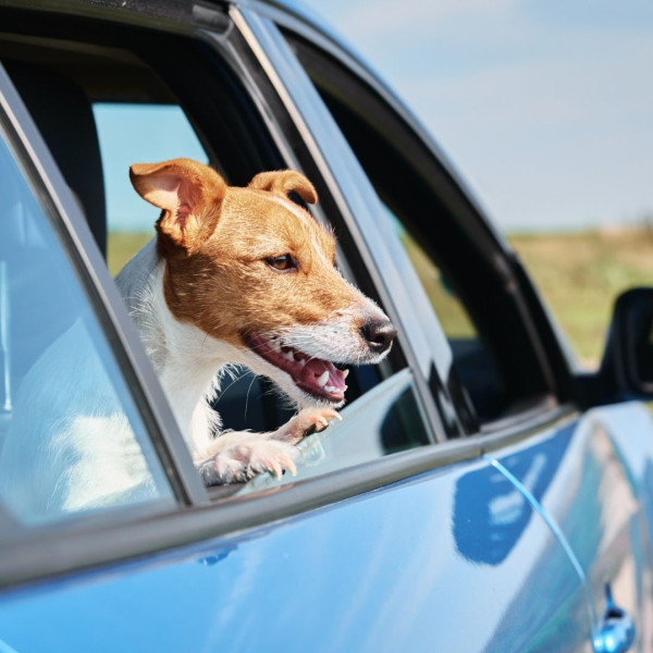 Buying a Vehicle in 2026: What to Know Before You Hit the Lot