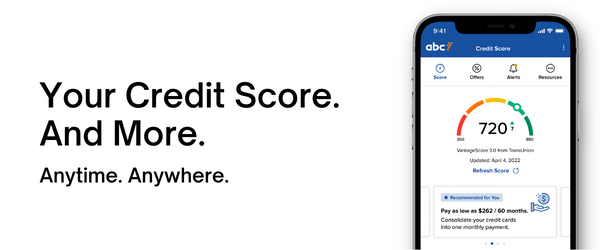 credit score and more image